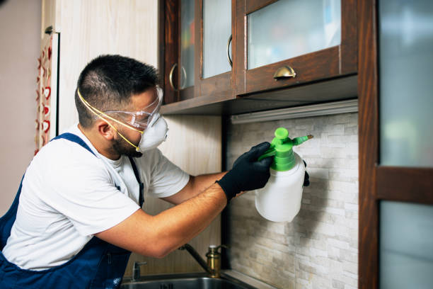 Best Pest Inspection Near Me  in Tallmadge, OH