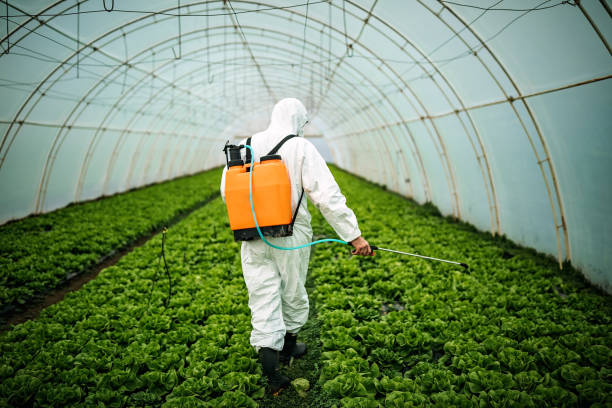 Best Best Pest Control Companies  in Tallmadge, OH