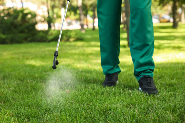 Best Local Pest Control Services  in Tallmadge, OH